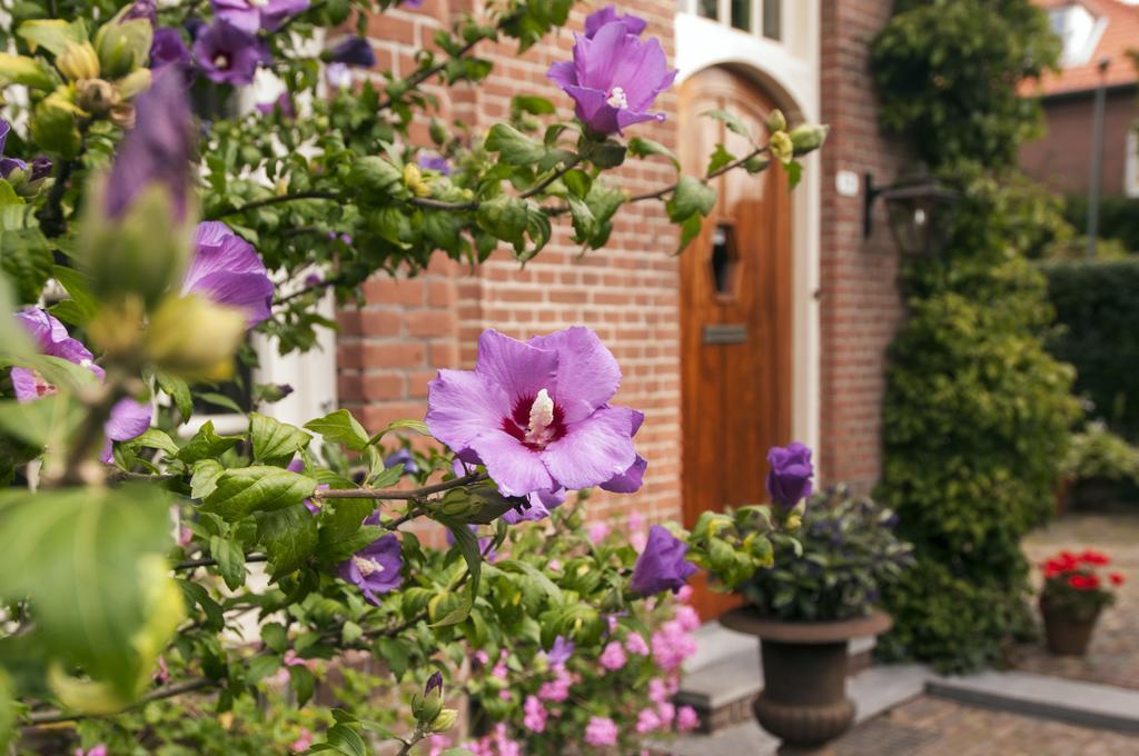 B&B De Schiedamse Suites Eksteriør bilde